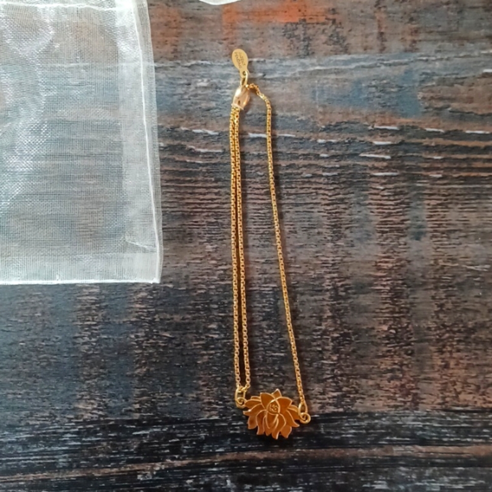 Alex and Ani pull cord bracelet